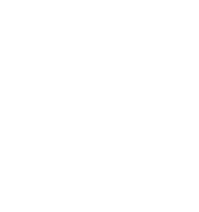 WPHA Ministy 'Wheel'